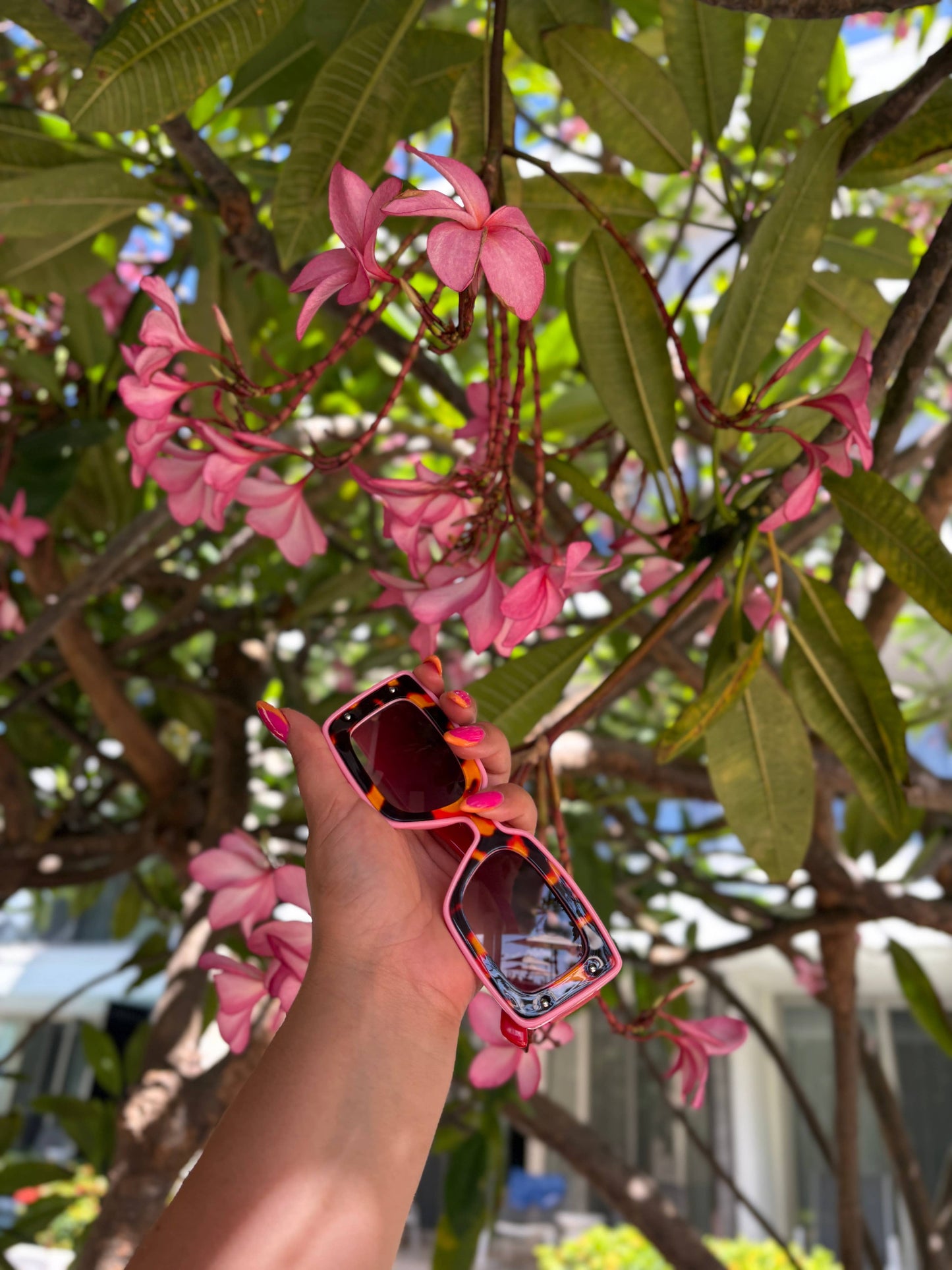 Tribe + Temple - Deco Sunglasses Pink + Red